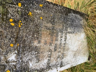 Photo of headstones/Donald MacLennan d1924 hdstn Laxay Old cem Lewis
